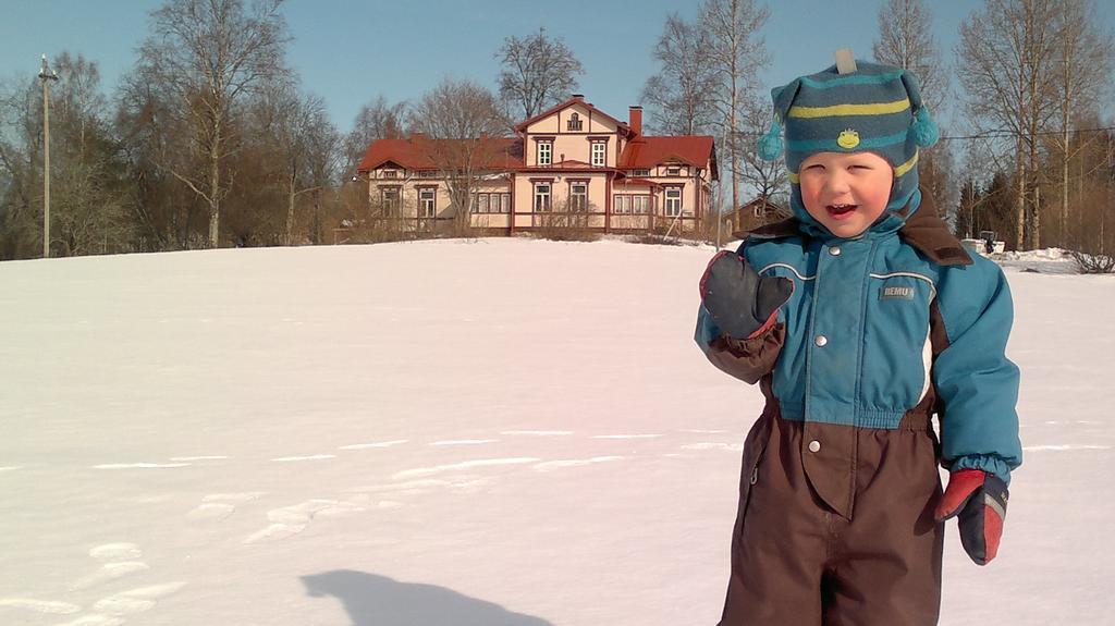 Loeydoen Kartano Villas Mikkeli Buitenkant foto